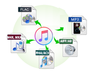 Boilsoft Apple Music Converter Crack 6.9.2 With Serial Key Free 